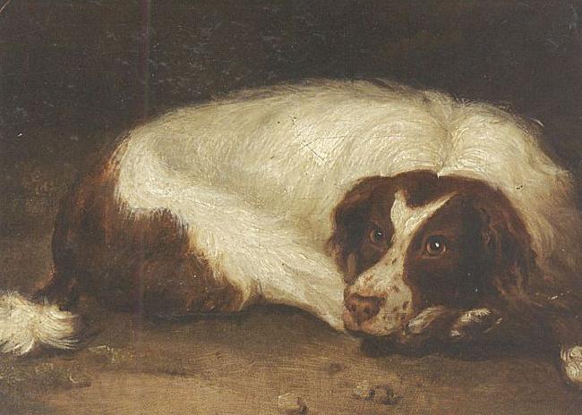 unknow artist A sporting dog lying down Spain oil painting art